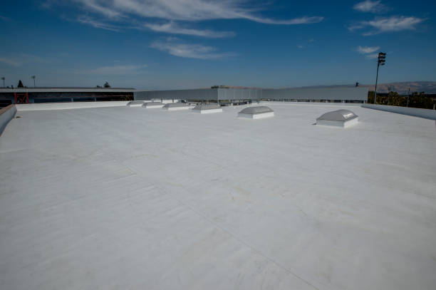 Skylights in Medford, MN