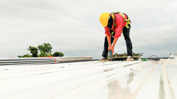 Best Roof Leak Repair  in Medford, MN