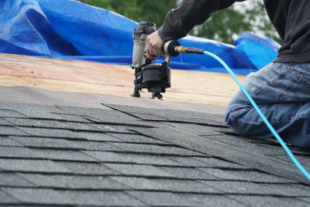 Best Roof Ventilation Installation  in Medford, MN