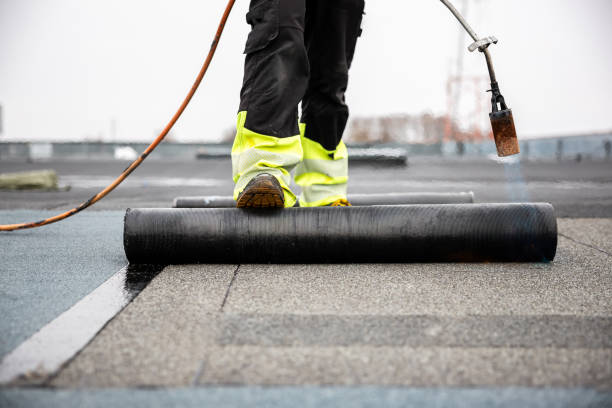 Best Asphalt Shingles Roofing  in Medford, MN